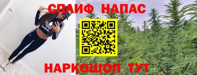 хмурый Кингисепп