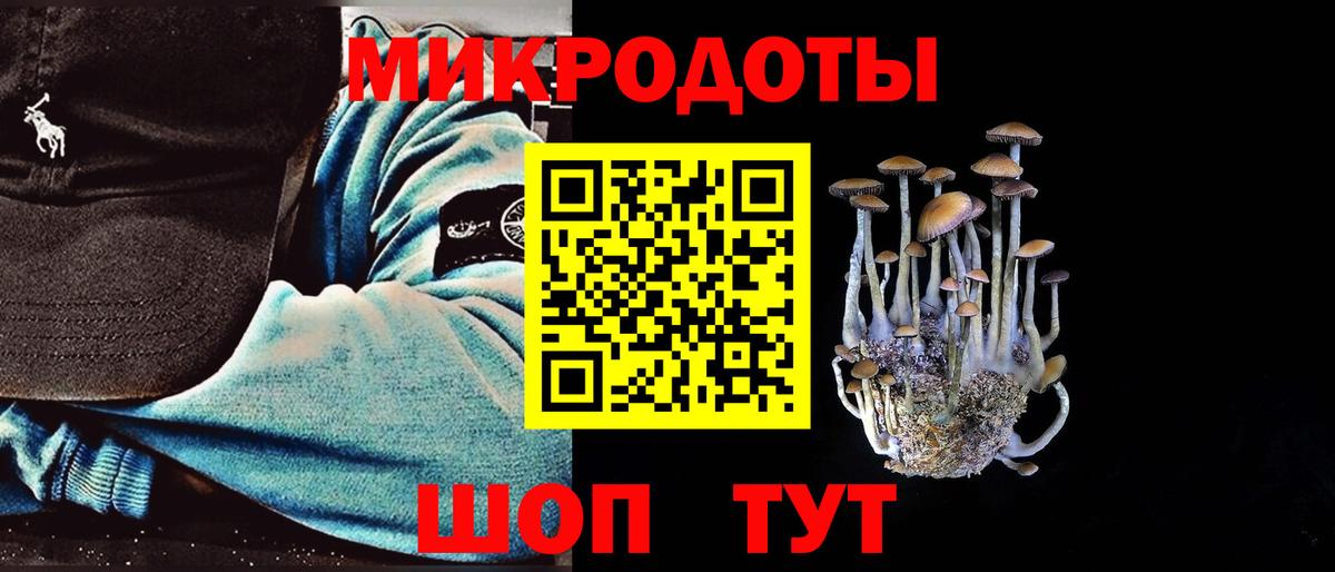 Галлюциногенные грибы Psilocybine cubensis  Псилоцибиновые грибы прущие грибы  Вход с VPN  Комсомольск-на-Амуре 